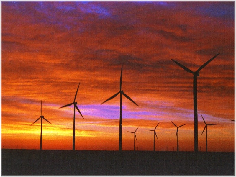 wind turbines cost. Each wind turbine cost about